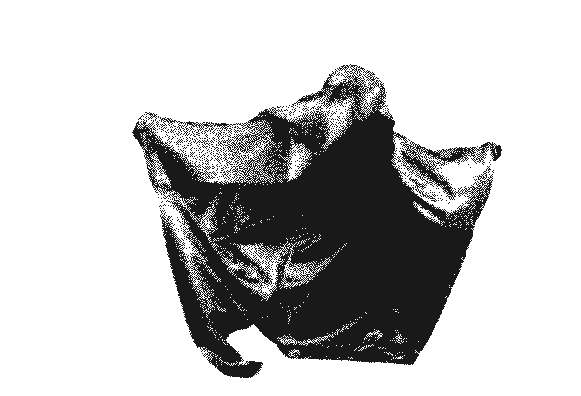 Drapé fantomatique de Howto (image animée)