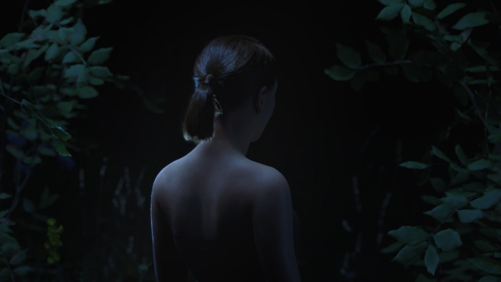 Métae — 1/5